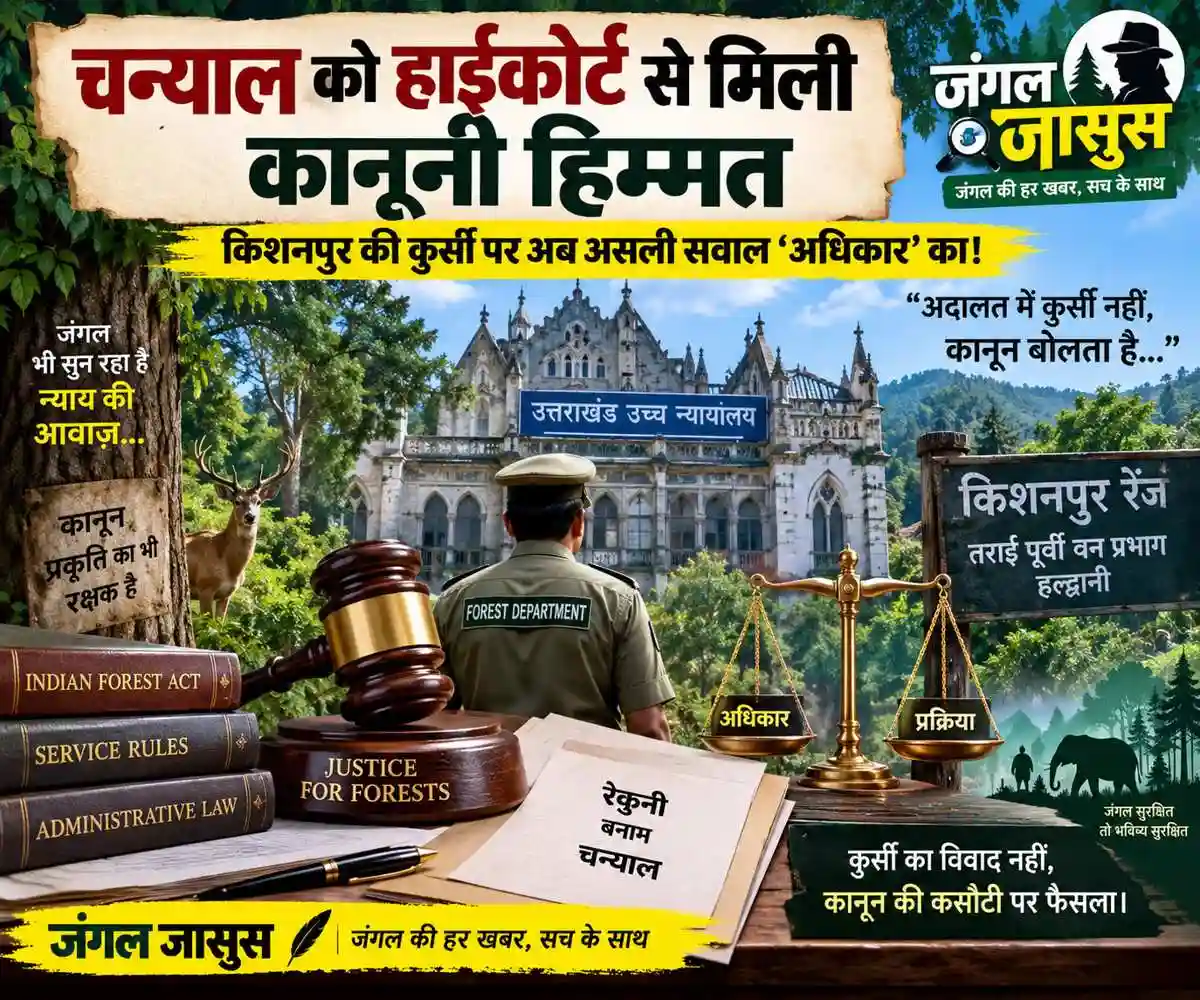 हजूर 👉 चन्याल को हाईकोर्ट से मिली कानूनी हिम्मत 👉 किशनपुर की कुर्सी पर अब असली सवाल ‘अधिकार’ का!